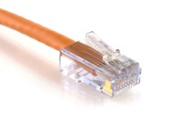 Picture of Cat 6 Patch Cable - 1 FT, Orange, Assembled