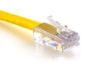 Picture of Cat 6 Patch Cable - 1 FT, Yellow, Assembled