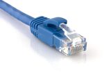 Picture of Cat 6 Patch Cable - 1 FT, Blue, Booted