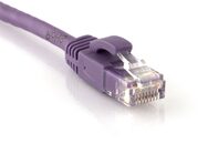 Picture of Cat 6 Patch Cable - 1 FT, Purple, Booted