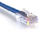 Picture of Cat 6 Patch Cable - 6 IN, Blue, Assembled