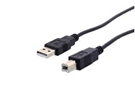 Picture of USB 2.0 Cable A to B M/M - 1 FT